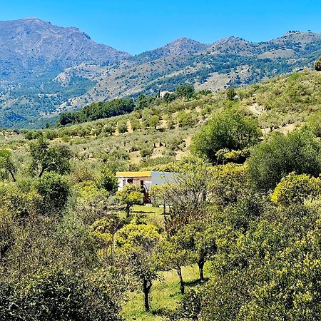 Finca Martina Casarabonela Exterior foto