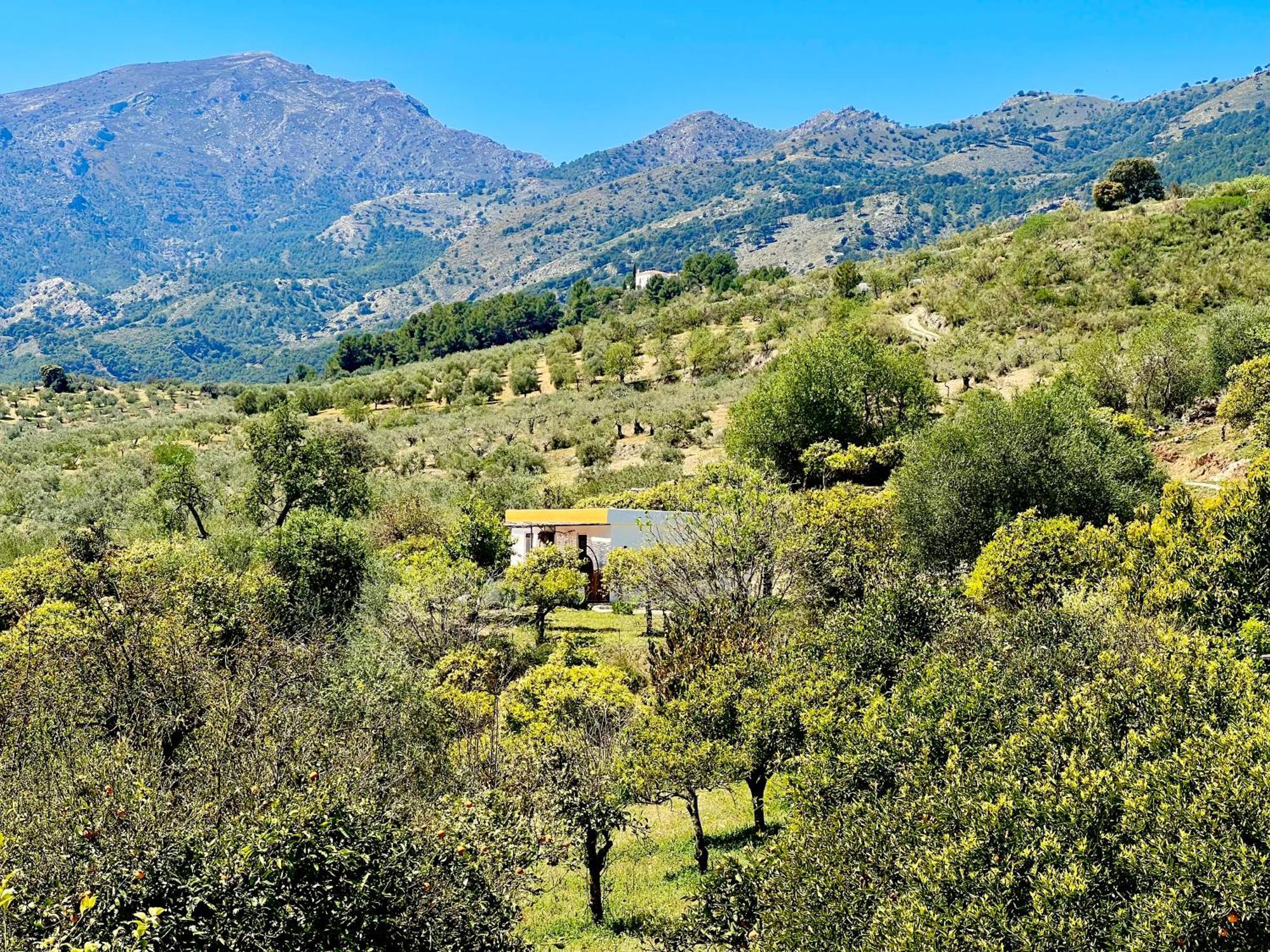 Finca Martina Casarabonela Exterior foto